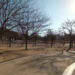 AMP.- La Comunidad de Madrid paraliza la tala de árboles y modificará la ampliación de la L11 de Metro en Madrid Río