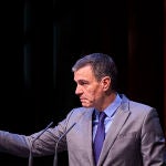El presidente del Gobierno, Pedro Sánchez