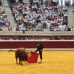 El canal 'Toros' de Movistar Plus+ cesará su emisión el próximo 23 de marzo tras más de treinta años de trayectoria