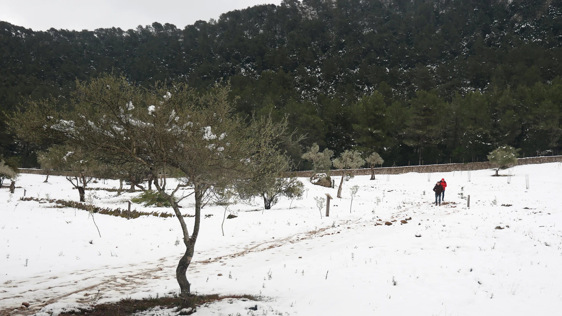 MURCIA.-La borrasca Juliette pondrá en alerta por frío a más de 30 provincias y a Mallorca en riesgo extremo por nieve