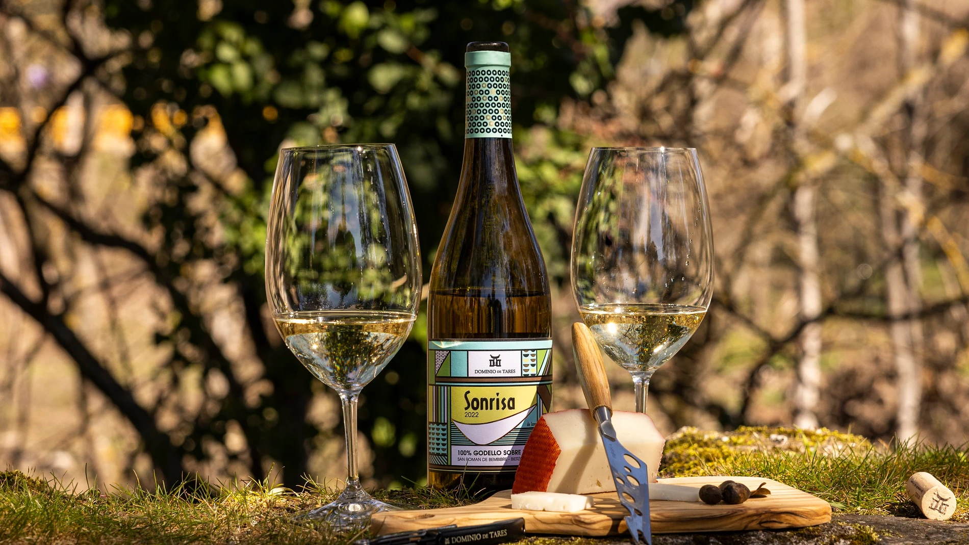 Nueva añada del vino "Sonrisa" de Dominio de Tares