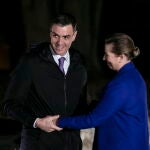 Spain's Prime Minister Pedro Sanchez visits Denmark