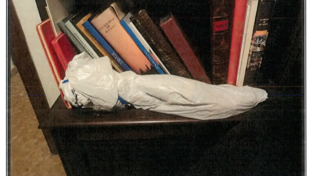 Fusil encontrado en casa del general del "caso Mediador"