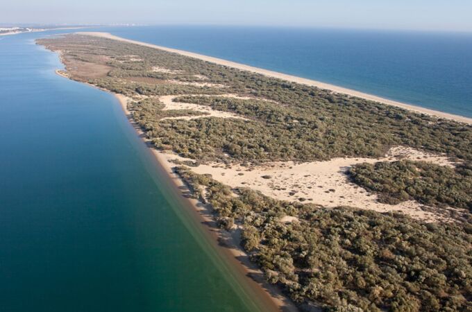Paraje de La Flecha, en El Rompido (Huelva)