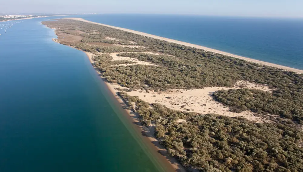 Paraje de La Flecha, en El Rompido (Huelva)