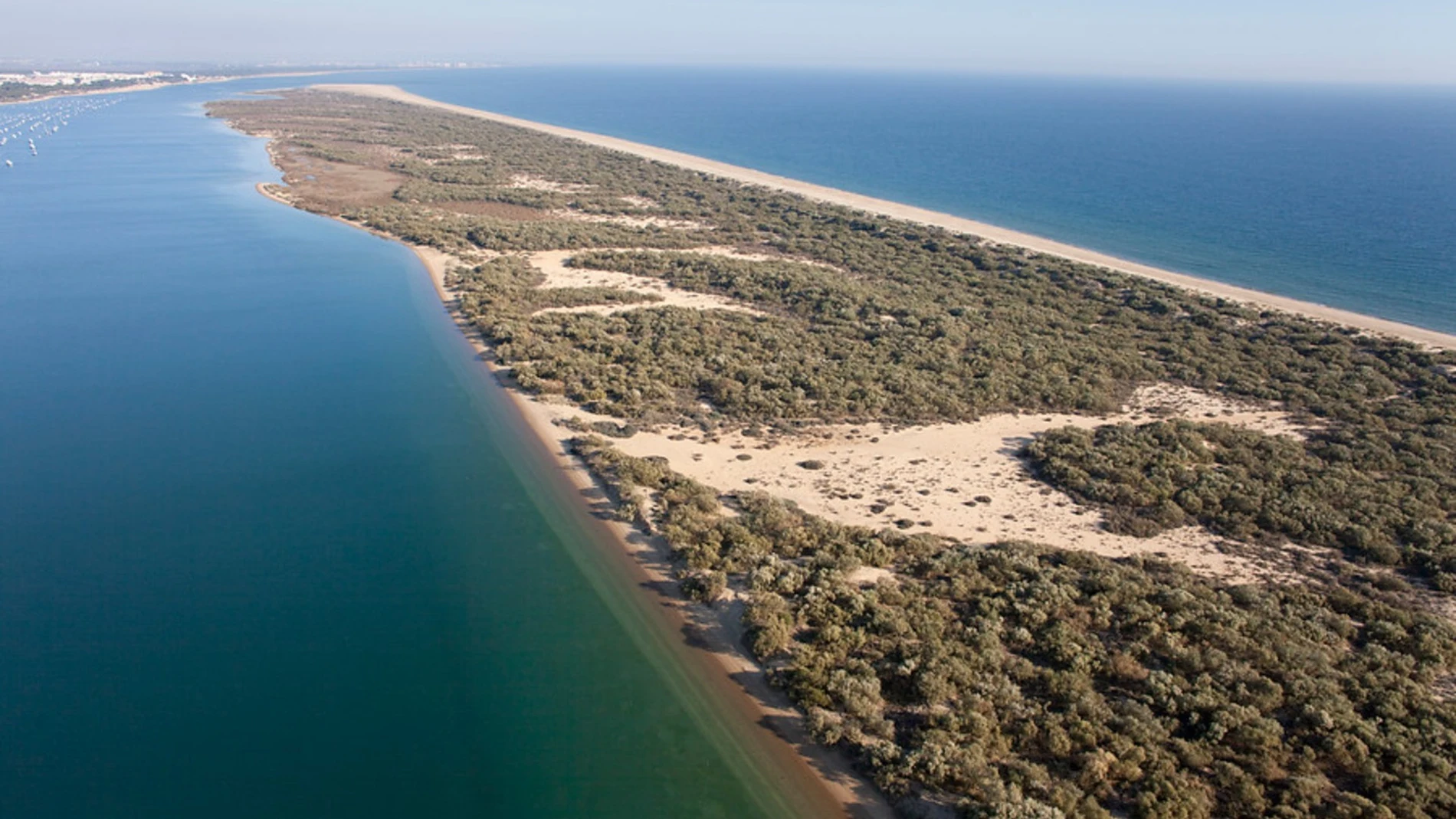 Paraje de La Flecha, en El Rompido (Huelva)