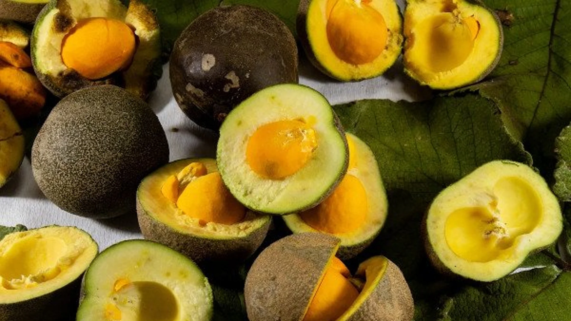 Pequi: el superalimento que frena la caída del cabello y reduce el colesterol