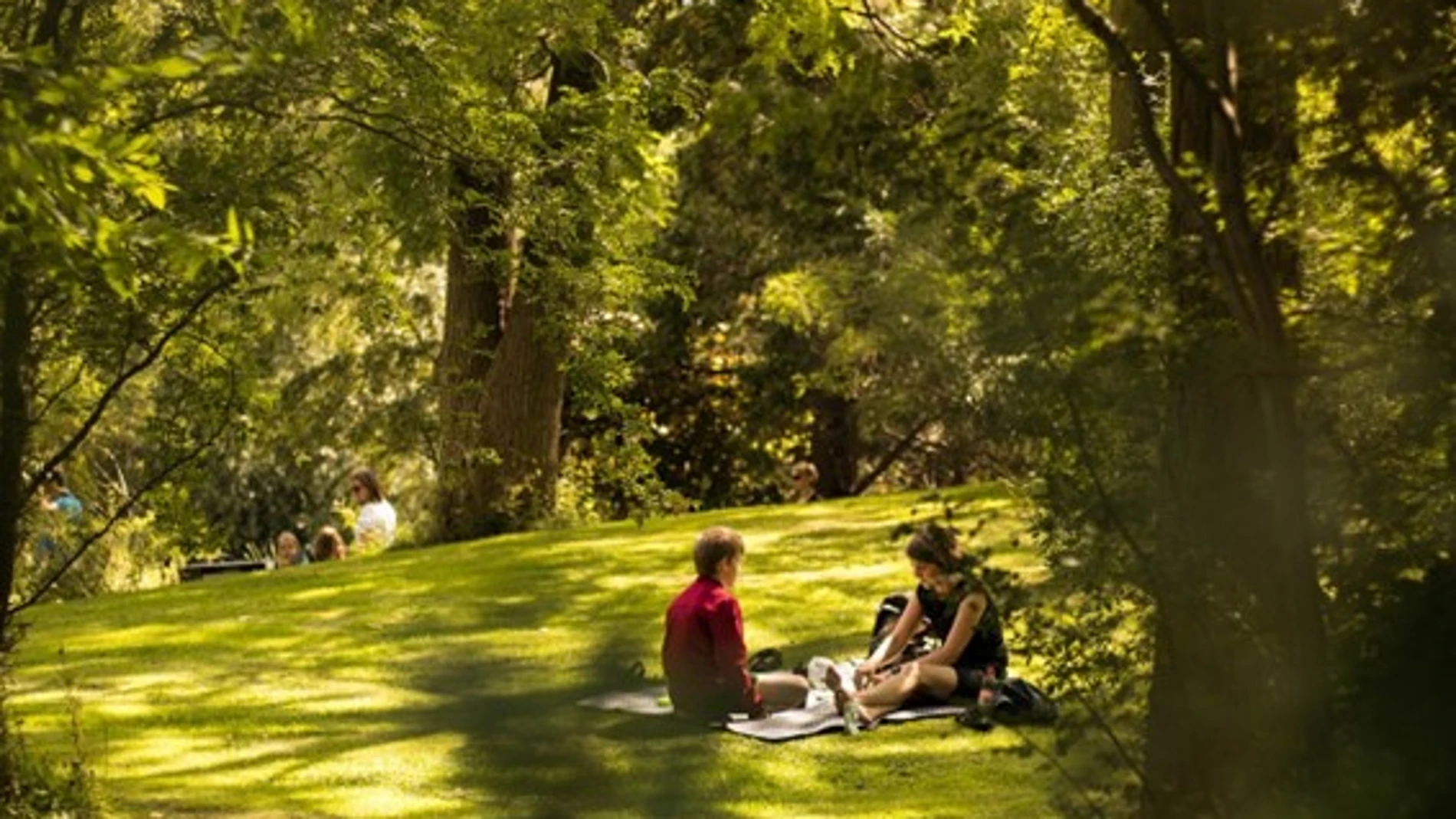 Jardín urbano