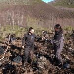 Proyecto Osos con futuro
