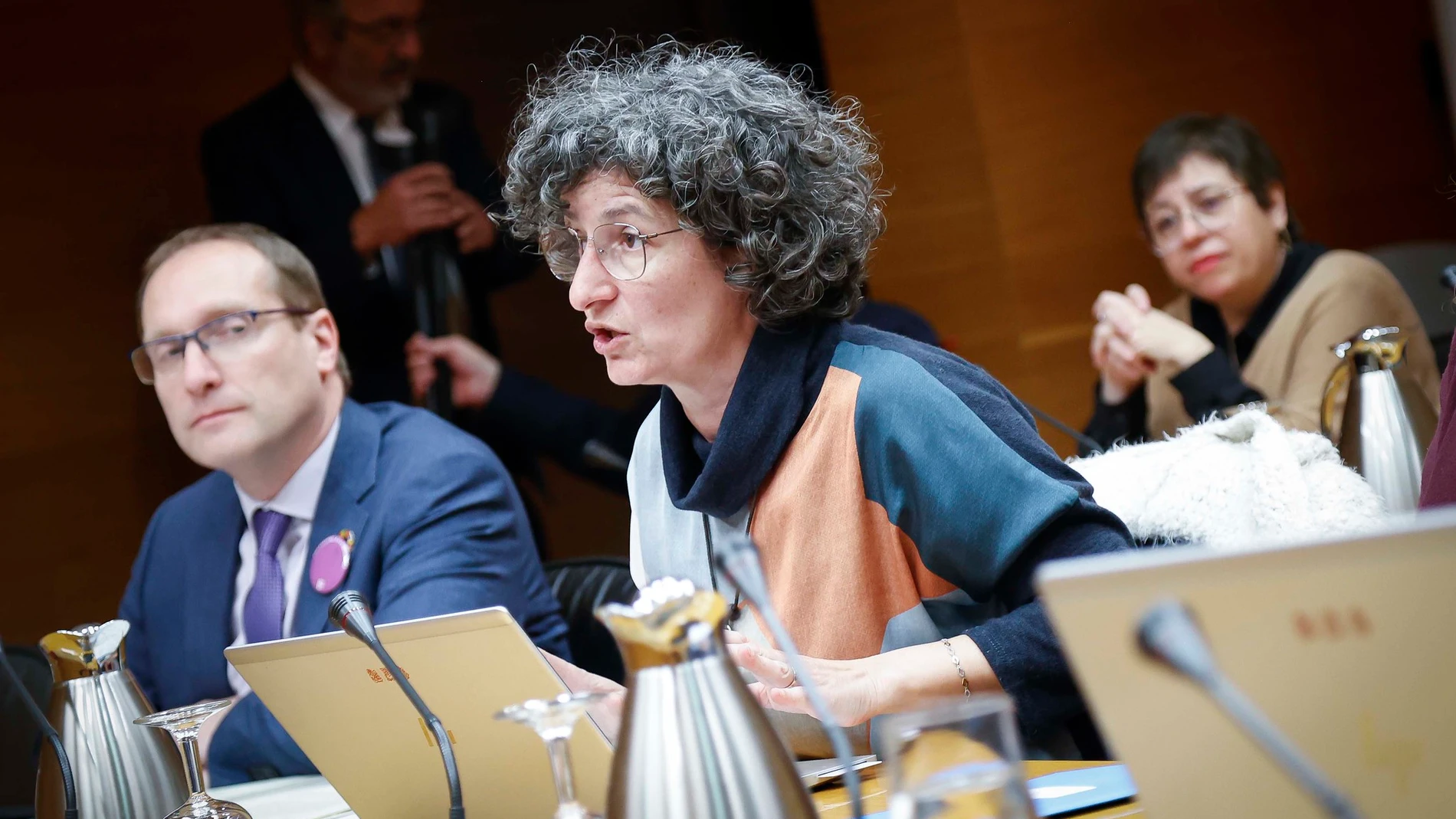 La diputada de Compromís Graciela Ferrer hoy en la Comisión de Medio Ambiente de Les Corts