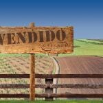 Nuevos terratenientes