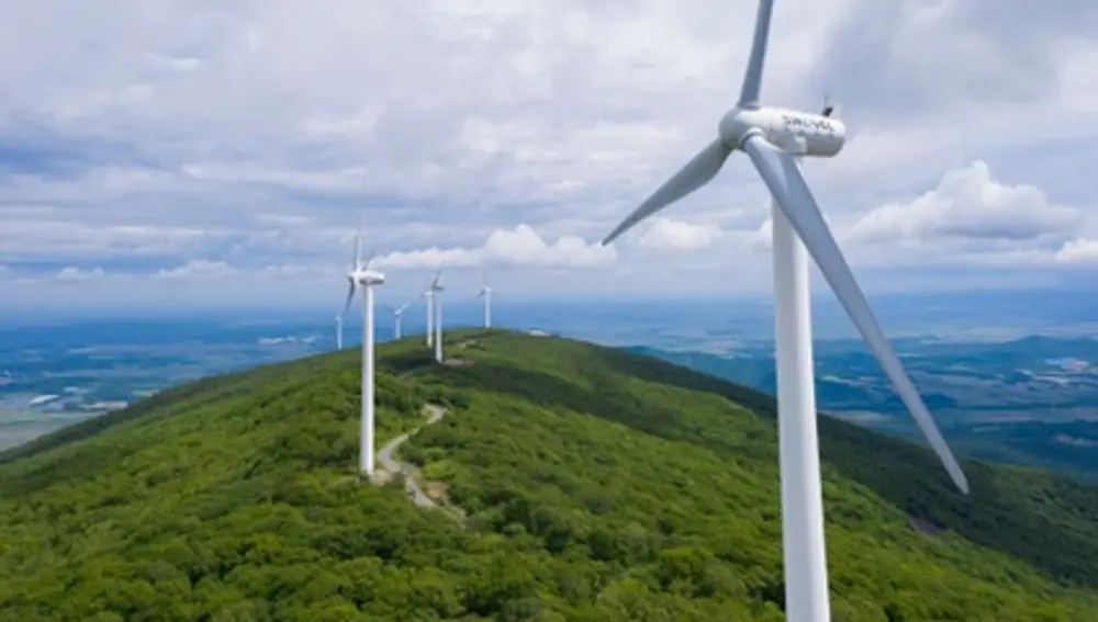 La foto aérea, tomada el 19 de junio de 2022, muestra las turbinas eólicas en un parque forestal en el distrito de Raohe, en la provincia nororiental china de Heilon gjiang. (Xinhua/Xie Jianfei)