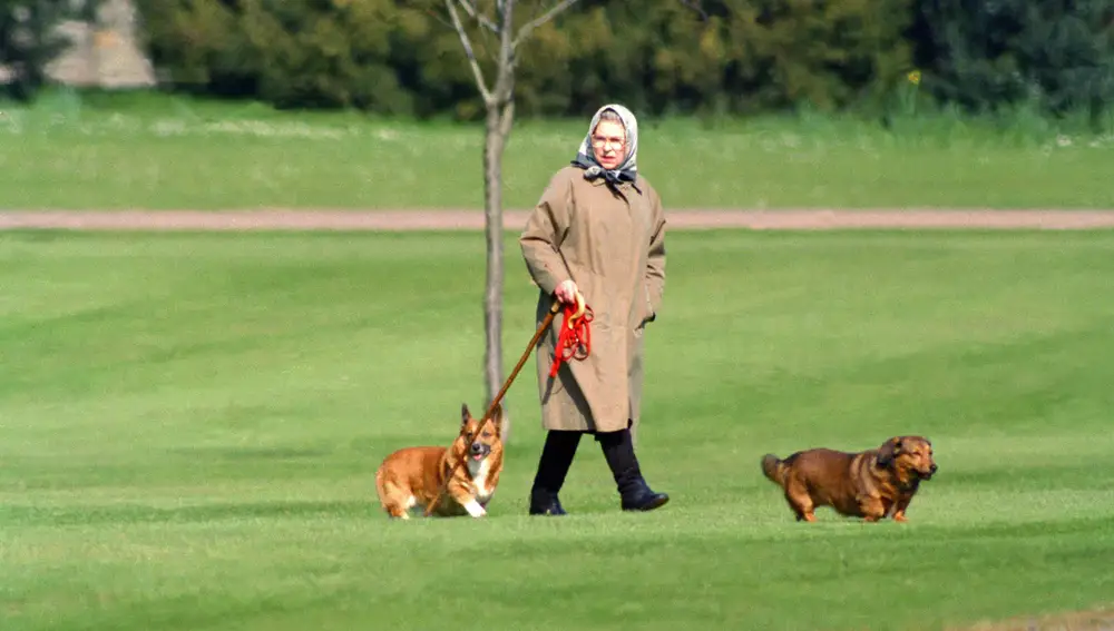 La Reina Isabel con sus perros