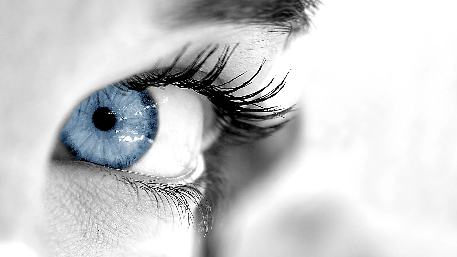 La Sociedad Española de Oftalmología advierte sobre los riesgos que la intervención para cambiar el color de ojos puede suponer para la visión