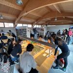 Una treintena de jóvenes vallisoletanos transforma el Campo Grande en un espacio más sostenible e inclusivo en el marco del Tour del Talento