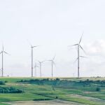España mantiene las exigencias ambientales de los proyectos de energía renovables