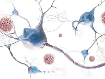 El virus de la varicela zóster (VVZ) es un herpesvirus que causa dos enfermedades, en ambos casos prevenibles gracias a la vacunación. El virus de la varicela zóster (VVZ) es un herpesvirus que causa dos enfermedades, en ambos casos prevenibles gracias a la vacunación.