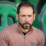 El Elche destituye a Pablo Machín