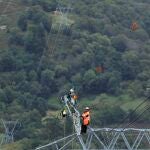 Operarios de Red Eléctrica durante una instalación de salvapajaros