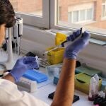 Se están analizando analizando muestras para detectar el origen del brote