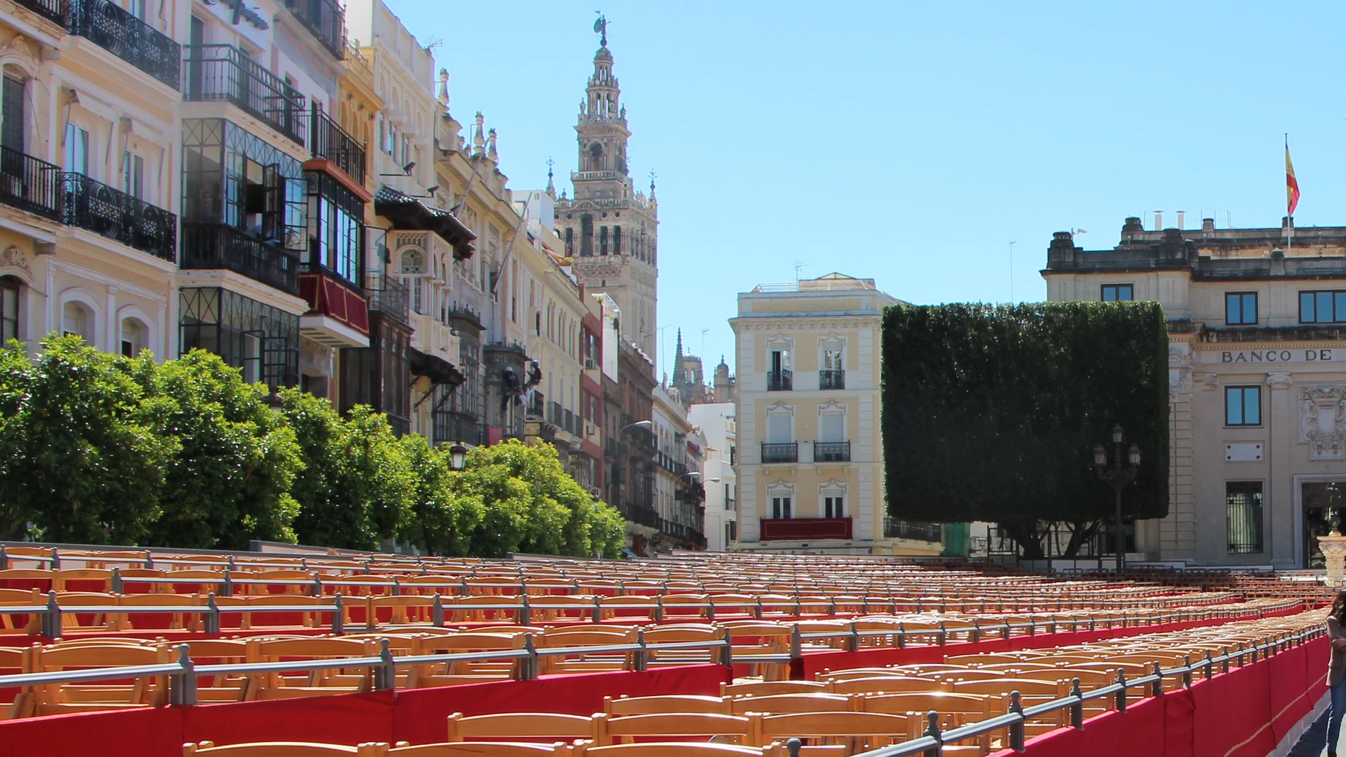 Sillas de Carrera Oficial en Sevilla
