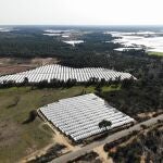 Regadíos en el entorno del Parque Nacional de Doñana