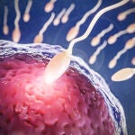 Una nueva técnica permite seleccionar espermatozoides para elegir el sexo del bebé