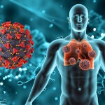 Las muertes por tuberculosis aumentan por primera vez en 20 años por efecto de la Covid-19