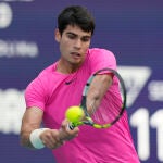 Miami Open Tennis