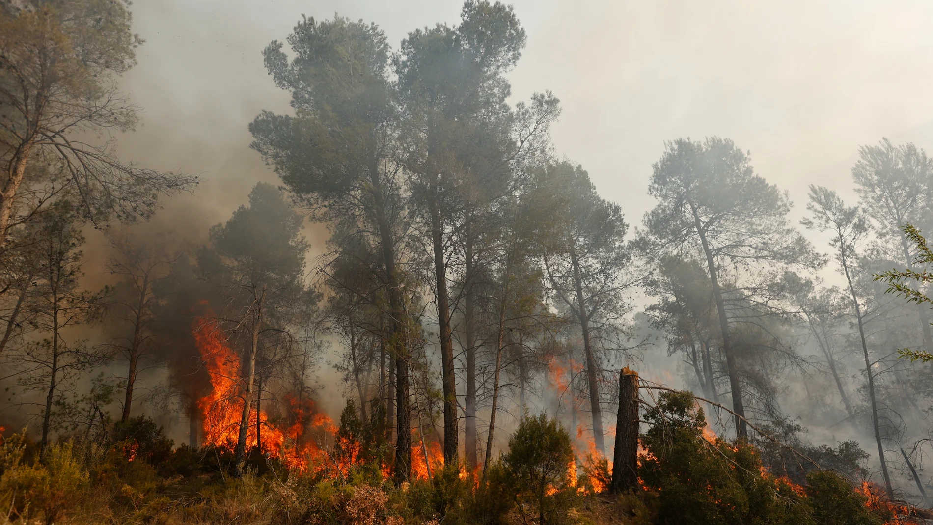 -FOTODELDIA- GRAFCVA2524. MONTAN (CASTELLÓN), 28/03/2023.-El incendio forestal del interior de Castellón, iniciado el pasado jueves y que hasta ahora ha arrasado 4.300 hectáreas, encara una nueva jornada activo y tras una jornada complicada en la que el objetivo principal ha sido contener el fuego para que no avanzara hacia la localidad de Montán y la Sierra de Espadán. En la imagen, el fuego en la localidad de Montán.EFE/ Biel Aliño