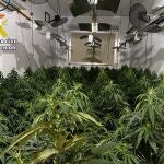 MURCIA.-Sucesos.- Desmantelado en Abarán (Murcia) un grupo criminal dedicado a la producción de marihuana a gran escala