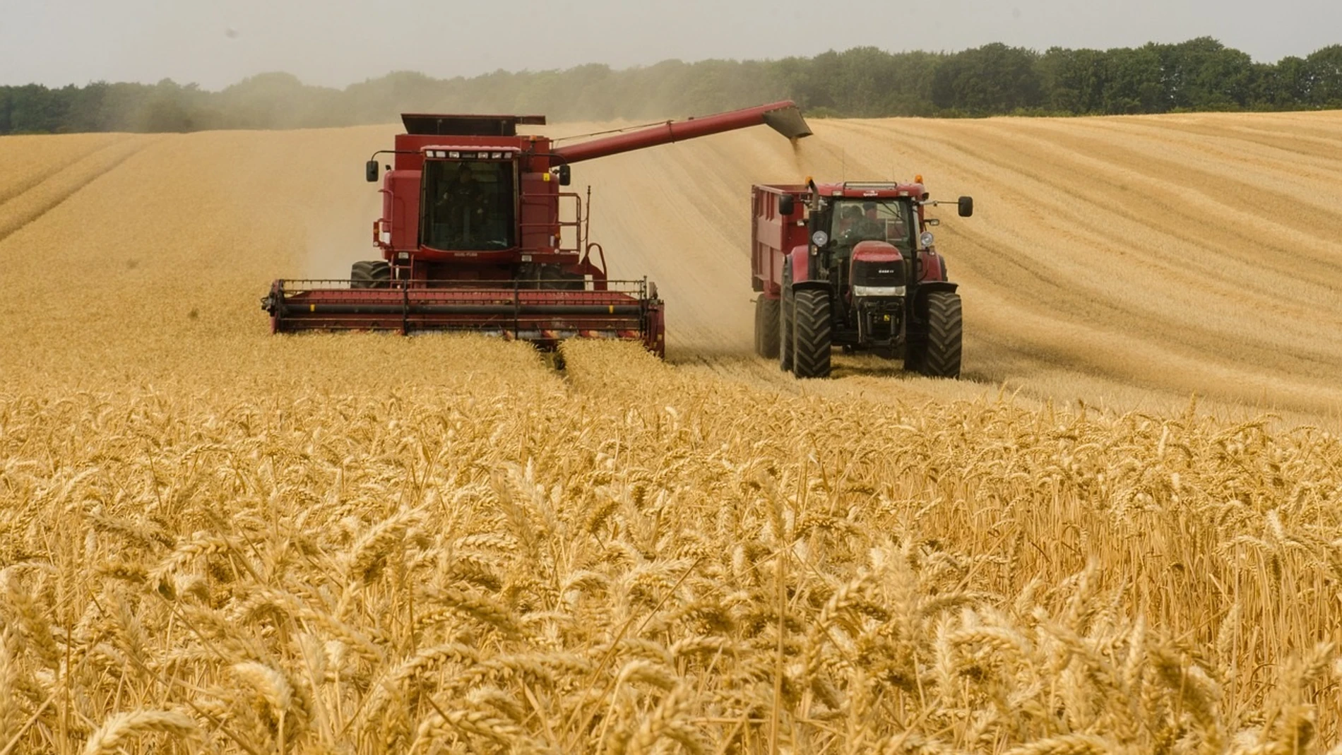 Economía.- Bruselas pide armonizar normas de grúas y cosechadoras para facilitar su venta y uso en toda la UE