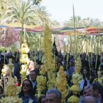 Domingo de Ramos en Elche