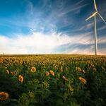 Aerogenerador en un campo de girasoles (Pixabay) 