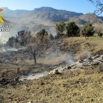 La Guardia Civil investiga al presunto autor de dos incendios forestales en Lorca