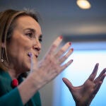 Gamarra ve "justificado" dar libertad de voto en "conciencia" ante un debate sobre la gestación subrogada