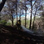 Incendio declarado en Tarifa (Cádiz)