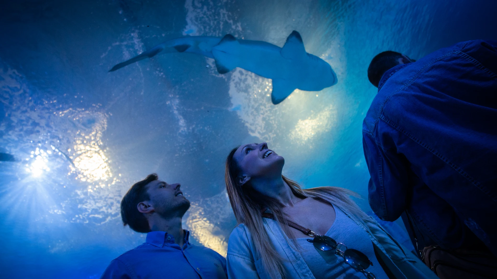 Dos visitantes en el Oceanogràfic de Valencia