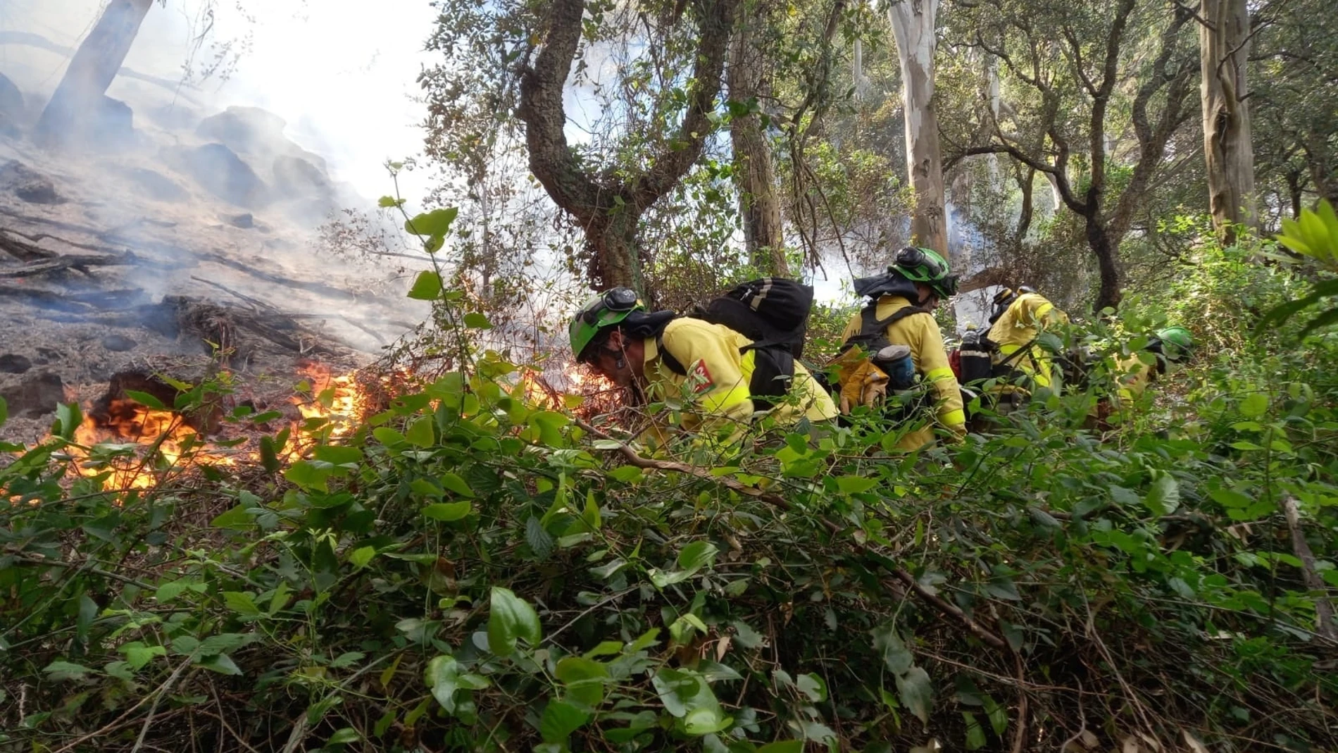 Incendio ocurrido en Tarifa (Cádiz)
