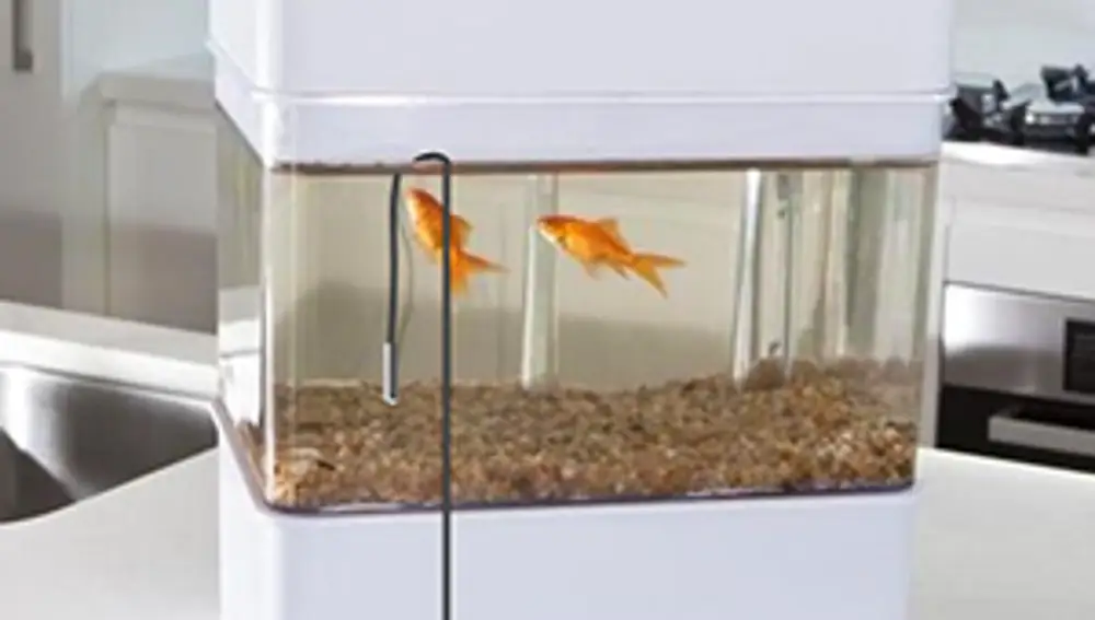 Este es el termómetro multiusos de moda: para la nevera, la pecera o el baño del bebé