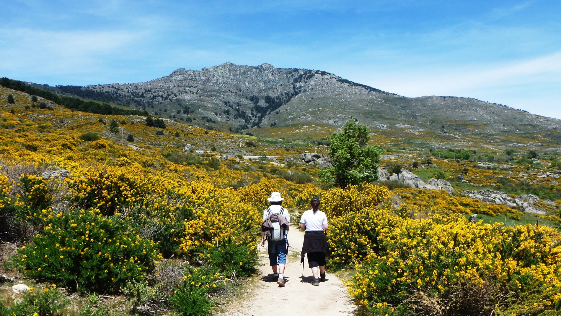 Ruta del Cambroño