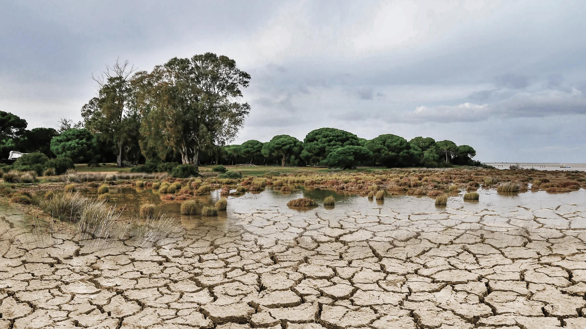 Imagen para portada sobre la sequía en Doñana