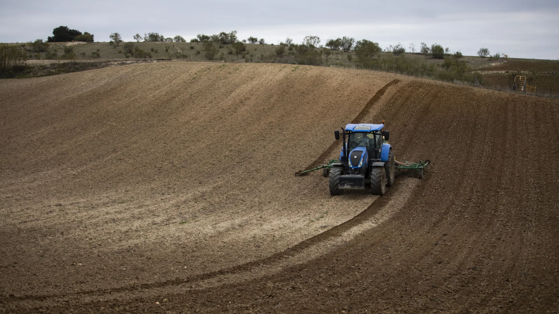 Reportaje a agricultor en Quijorna, Madrid.