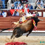 La terna desaprovecha la clara bravura de los novillos de Conde de Mayalde en Las Ventas