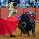 Toros de Santiago Domecq para José Garrido, Álvaro Lorenzo y Alfonso Cadaval