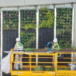 Continúan las instalaciones del proyecto Calle 30 Natura que busca cubrir los muros de la circunvalación de vegetación
