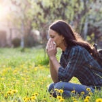 Alergia primaveral