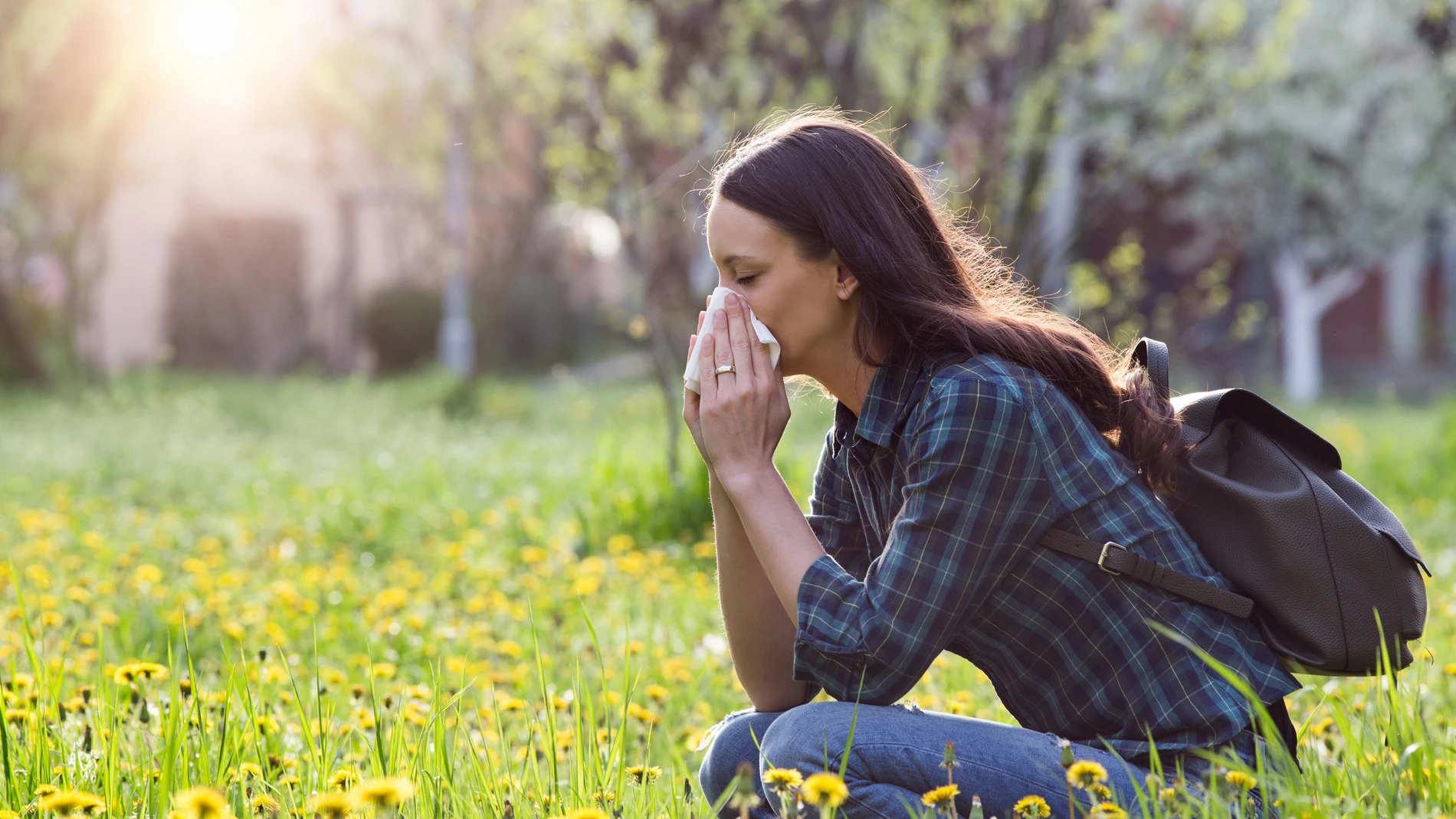 Alergia primaveral