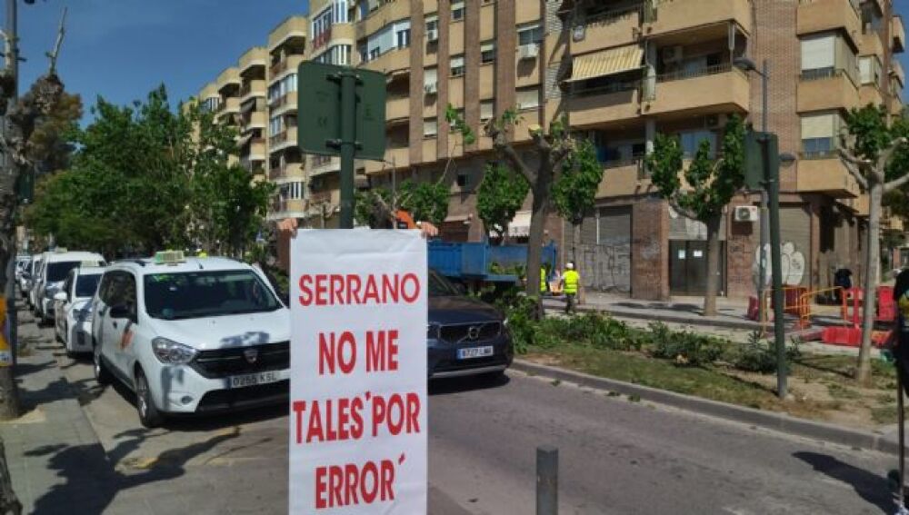 Denuncian un "arboricidio" en Murcia con la tala masiva de árboles