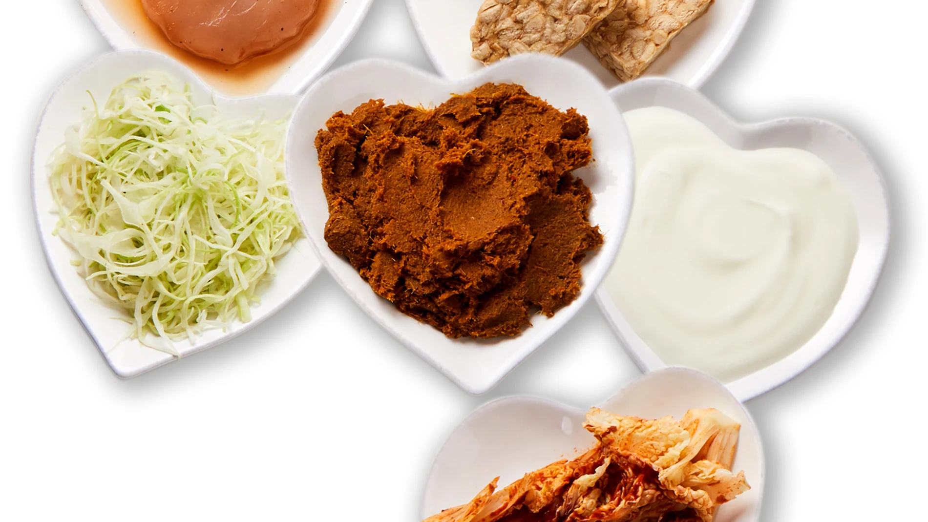 Alimentos fermentados
